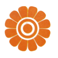[removal.ai]_fd6b5282-abf6-424b-9659-55d6bd320273-photo_2024-11-02_15-00-05